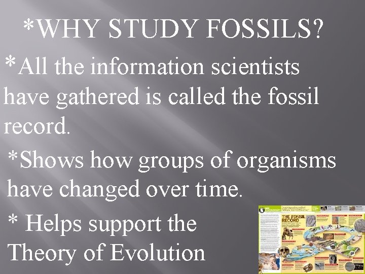 *WHY STUDY FOSSILS? *All the information scientists have gathered is called the fossil record.