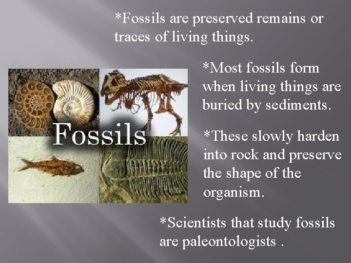 *Fossils are preserved remains or traces of living things. *Most fossils form when living