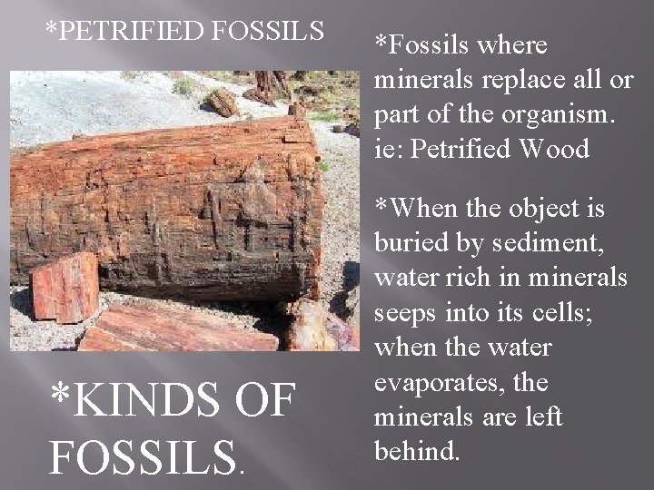 *PETRIFIED FOSSILS *KINDS OF FOSSILS. *Fossils where minerals replace all or part of the