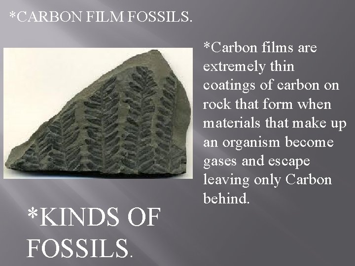 *CARBON FILM FOSSILS. *KINDS OF FOSSILS. *Carbon films are extremely thin coatings of carbon