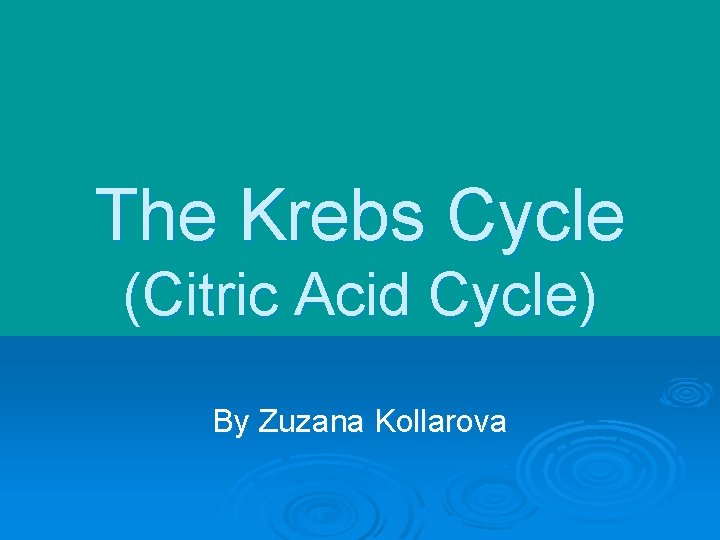 The Krebs Cycle (Citric Acid Cycle) By Zuzana Kollarova 