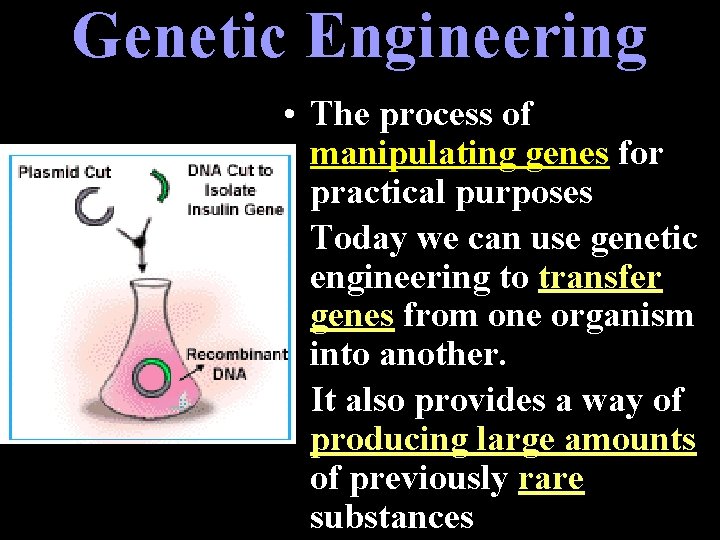 Genetic Engineering • The process of manipulating genes for practical purposes • Today we