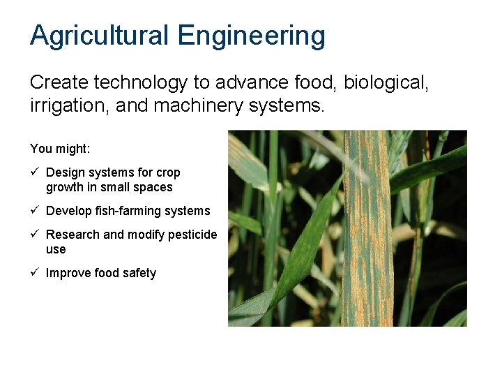 Agricultural Engineering Create technology to advance food, biological, irrigation, and machinery systems. You might: