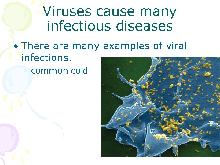 Viruses cause many infectious diseases • There are many examples of viral infections. –