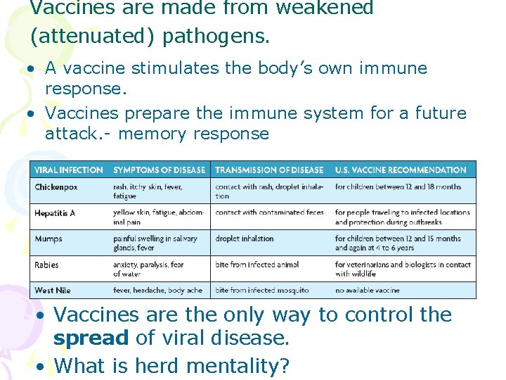 Vaccines are made from weakened (attenuated) pathogens. • A vaccine stimulates the body’s own