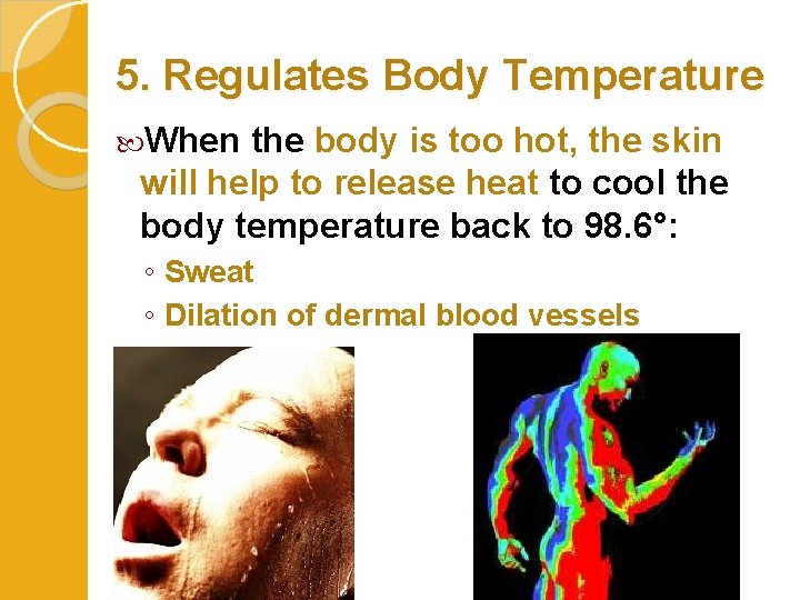 5. Regulates Body Temperature When the body is too hot, the skin will help