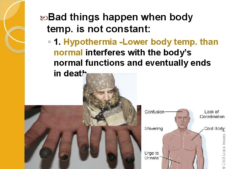  Bad things happen when body temp. is not constant: ◦ 1. Hypothermia -Lower