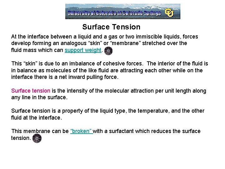 Surface Tension At the interface between a liquid and a gas or two immiscible