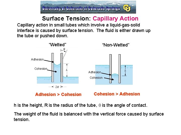 Surface Tension: Capillary Action Capillary action in small tubes which involve a liquid-gas-solid interface