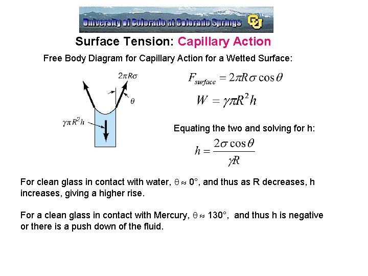 Surface Tension: Capillary Action Free Body Diagram for Capillary Action for a Wetted Surface: