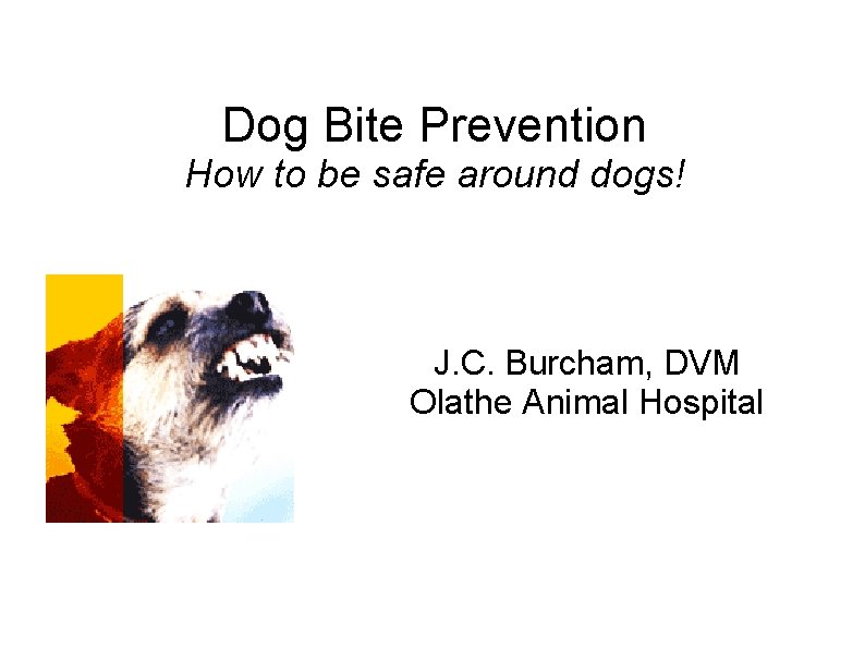 Dog Bite Prevention How to be safe around dogs! J. C. Burcham, DVM Olathe