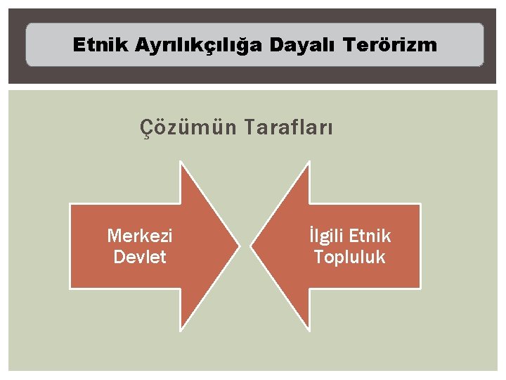 Etnik Ayrılıkçılığa Dayalı Terörizm Çözümün Tarafları Merkezi Devlet İlgili Etnik Topluluk 