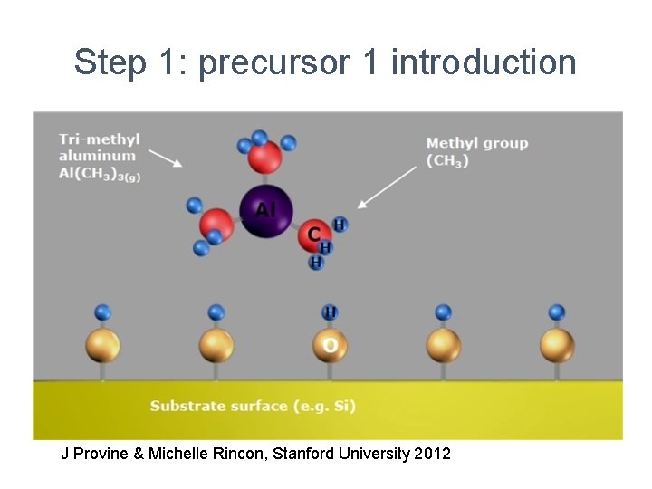 Step 1: precursor 1 introduction J Provine & Michelle Rincon, Stanford University 2012 