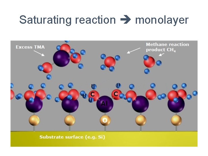 Saturating reaction monolayer 