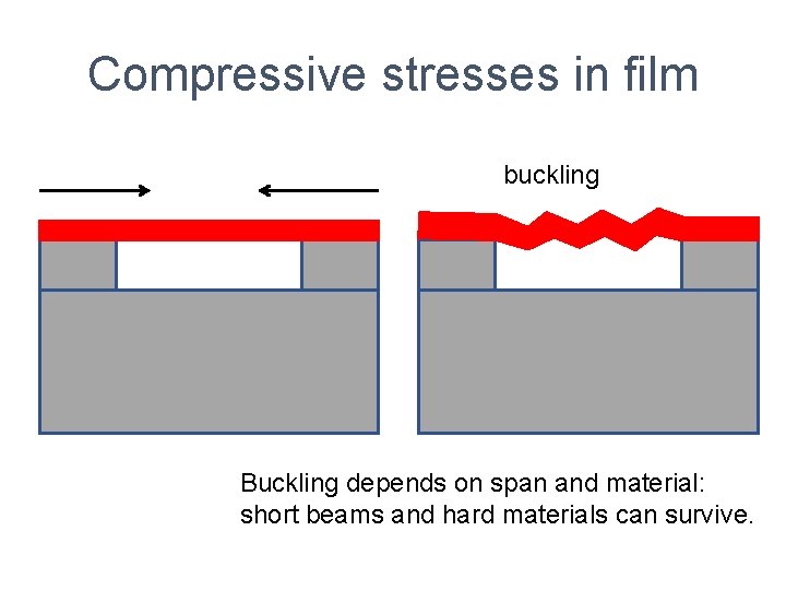 Compressive stresses in film buckling Buckling depends on span and material: short beams and