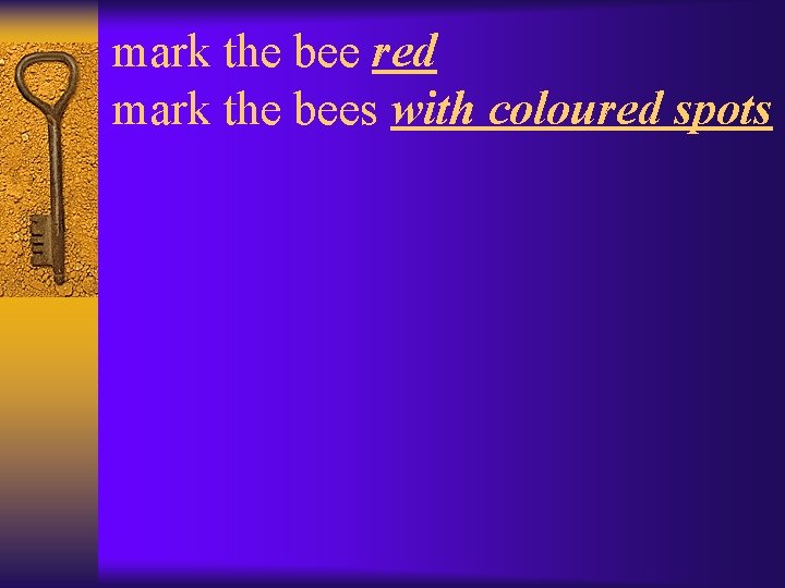 mark the bee red mark the bees with coloured spots 