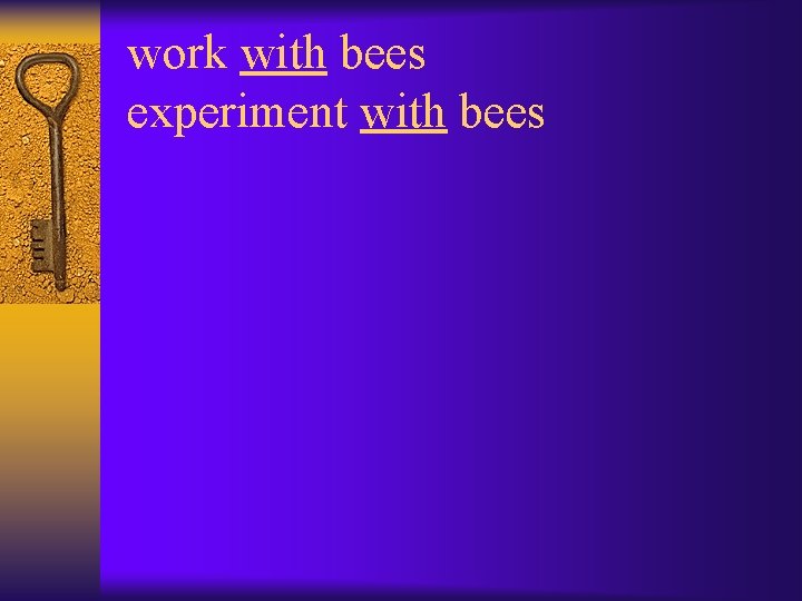 work with bees experiment with bees 
