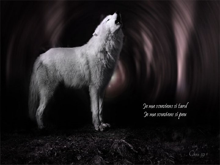 Je me souviens si tard Je me souviens si peu 