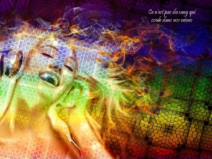 Ce n'est pas du sang qui coule dans nos veines 