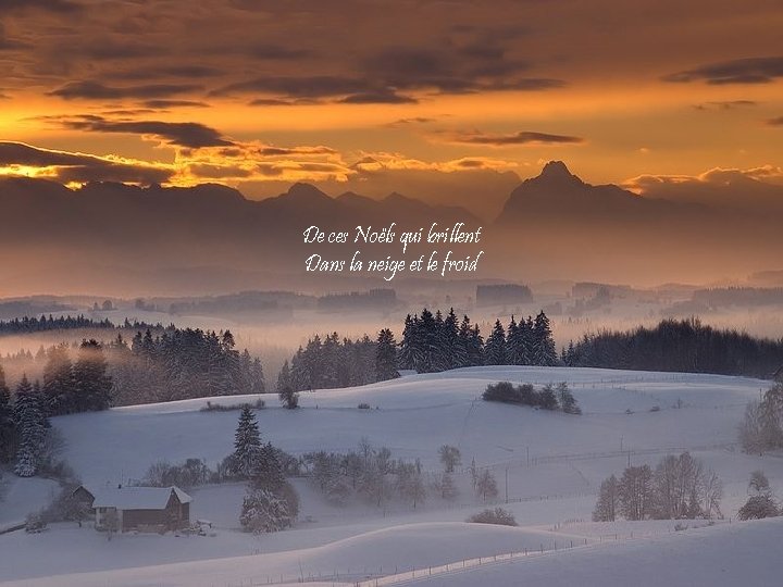 De ces Noëls qui brillent Dans la neige et le froid 