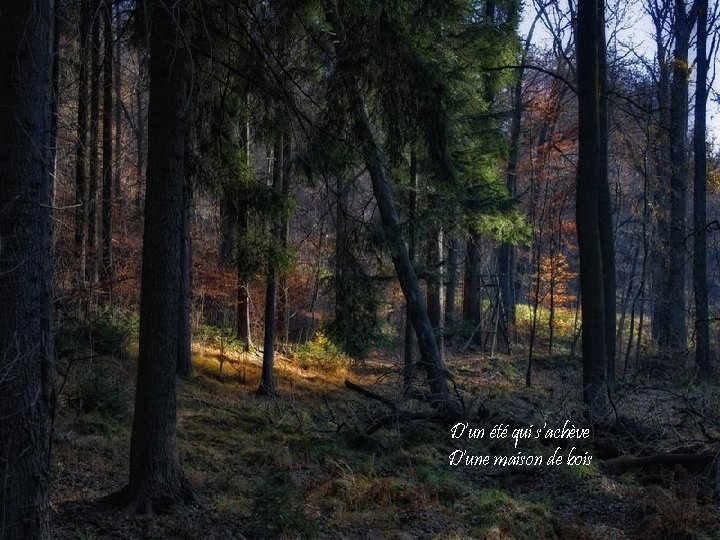 D'un été qui s'achève D'une maison de bois 