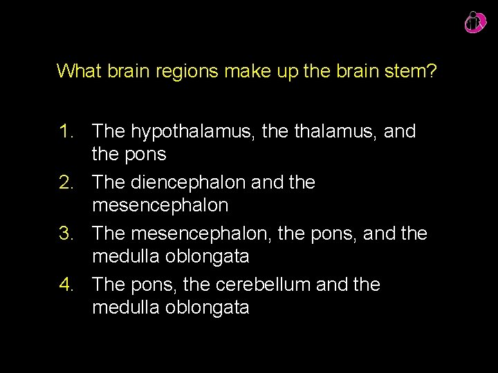 What brain regions make up the brain stem? 1. The hypothalamus, the thalamus, and