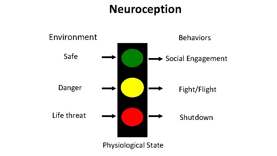 Neuroception Environment Behaviors Safe Social Engagement Danger Fight/Flight Life threat Shutdown Physiological State 