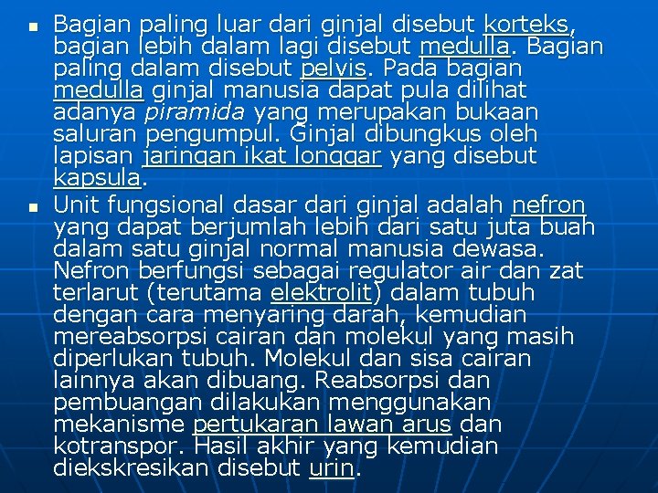 n n Bagian paling luar dari ginjal disebut korteks, bagian lebih dalam lagi disebut n n Bagian paling luar dari ginjal disebut korteks, bagian lebih dalam lagi disebut