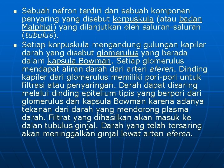 n n Sebuah nefron terdiri dari sebuah komponen penyaring yang disebut korpuskula (atau badan n n Sebuah nefron terdiri dari sebuah komponen penyaring yang disebut korpuskula (atau badan
