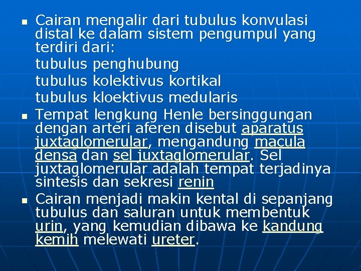 n n n Cairan mengalir dari tubulus konvulasi distal ke dalam sistem pengumpul yang n n n Cairan mengalir dari tubulus konvulasi distal ke dalam sistem pengumpul yang