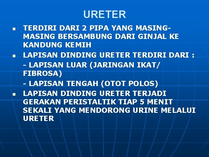 URETER n n n TERDIRI DARI 2 PIPA YANG MASING BERSAMBUNG DARI GINJAL KE URETER n n n TERDIRI DARI 2 PIPA YANG MASING BERSAMBUNG DARI GINJAL KE