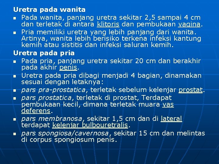 Uretra pada wanita n Pada wanita, panjang uretra sekitar 2, 5 sampai 4 cm Uretra pada wanita n Pada wanita, panjang uretra sekitar 2, 5 sampai 4 cm