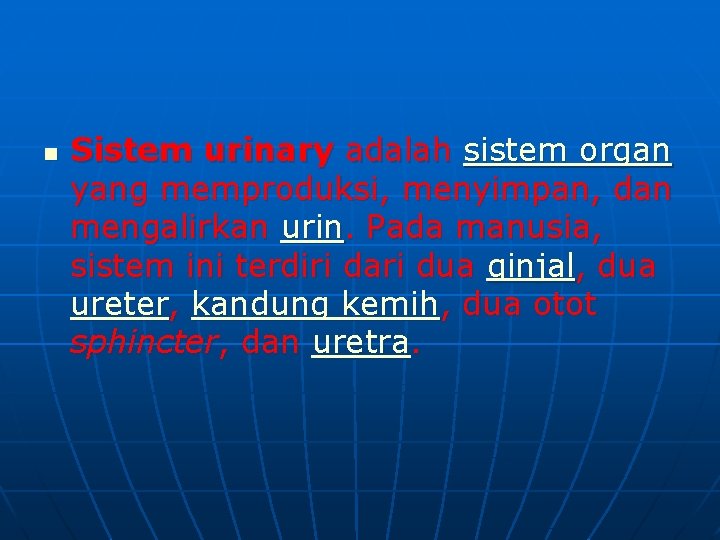 n Sistem urinary adalah sistem organ yang memproduksi, menyimpan, dan mengalirkan urin. Pada manusia, n Sistem urinary adalah sistem organ yang memproduksi, menyimpan, dan mengalirkan urin. Pada manusia,