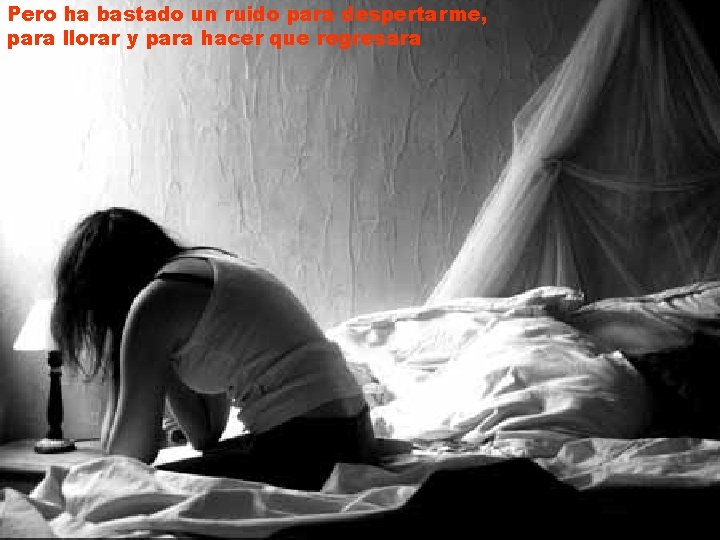Pero ha bastado un ruido para despertarme, para llorar y para hacer que regresara Pero ha bastado un ruido para despertarme, para llorar y para hacer que regresara