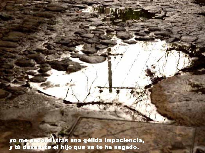 yo me escondí tras una gélida impaciencia, y tú deseaste el hijo que se yo me escondí tras una gélida impaciencia, y tú deseaste el hijo que se
