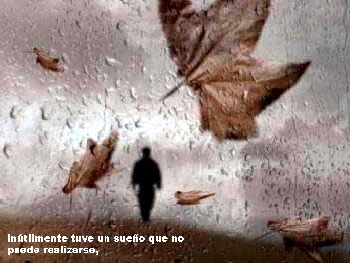 inútilmente tuve un sueño que no puede realizarse, inútilmente tuve un sueño que no puede realizarse,