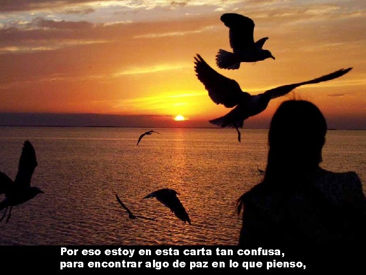 Por eso estoy en esta carta tan confusa, para encontrar algo de paz en Por eso estoy en esta carta tan confusa, para encontrar algo de paz en