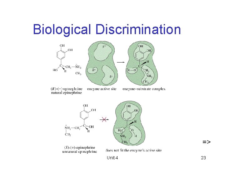 Biological Discrimination => Unit 4 23 