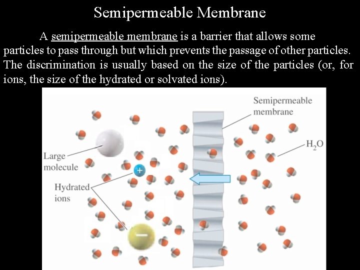 Semipermeable Membrane A semipermeable membrane is a barrier that allows some particles to pass