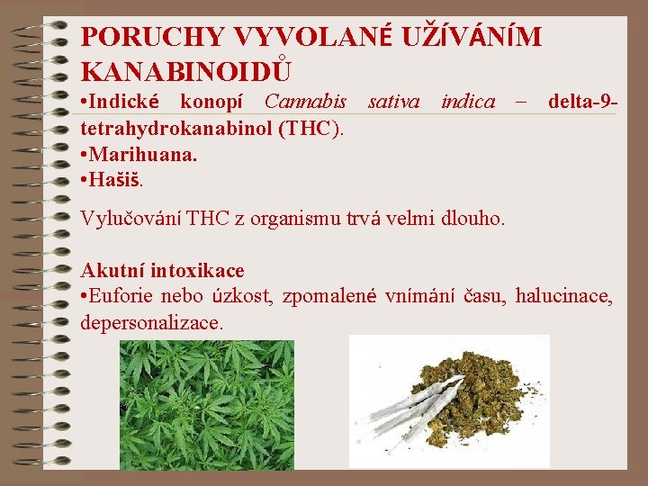 PORUCHY VYVOLANÉ UŽÍVÁNÍM KANABINOIDŮ • Indické konopí Cannabis sativa indica – delta-9 tetrahydrokanabinol (THC).