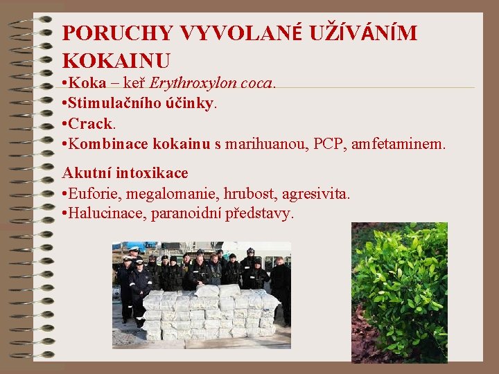 PORUCHY VYVOLANÉ UŽÍVÁNÍM KOKAINU • Koka – keř Erythroxylon coca. • Stimulačního účinky. •