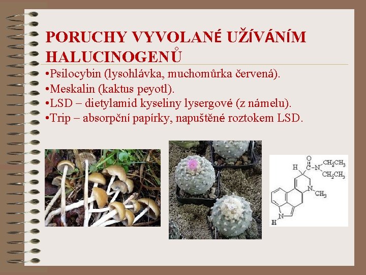 PORUCHY VYVOLANÉ UŽÍVÁNÍM HALUCINOGENŮ • Psilocybin (lysohlávka, muchomůrka červená). • Meskalin (kaktus peyotl). •