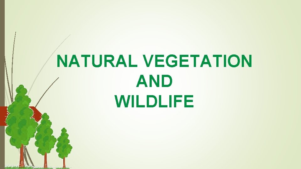 NATURAL VEGETATION AND WILDLIFE NATURAL VEGETATION AND WILDLIFE