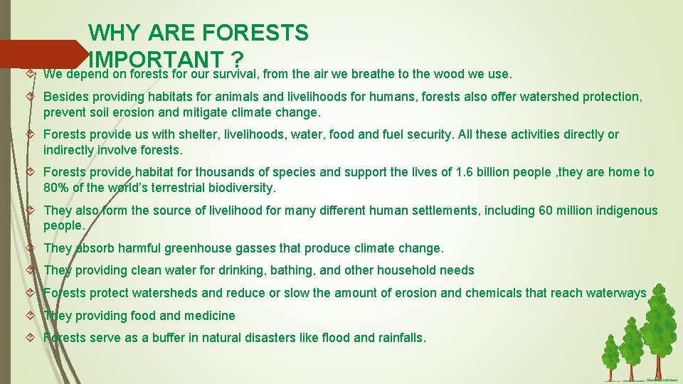  WHY ARE FORESTS IMPORTANT ? We depend on forests for our survival, from