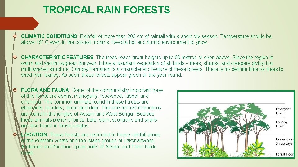 TROPICAL RAIN FORESTS CLIMATIC CONDITIONS: Rainfall of more than 200 cm of rainfall with