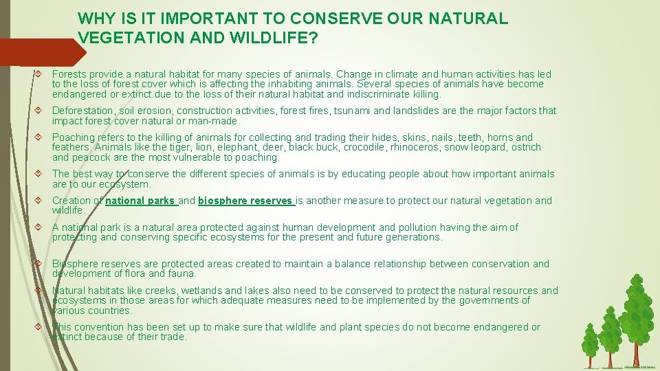 WHY IS IT IMPORTANT TO CONSERVE OUR NATURAL VEGETATION AND WILDLIFE? Forests provide a