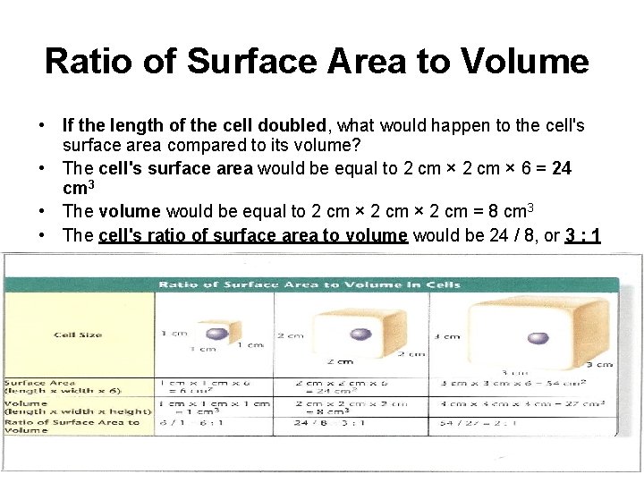 Ratio of Surface Area to Volume • If the length of the cell doubled,