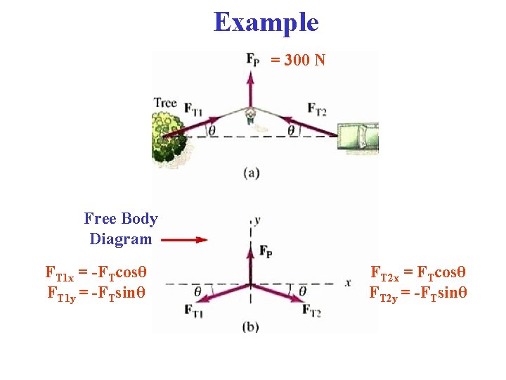 Example = 300 N Free Body Diagram FT 1 x = -FTcosθ FT 1