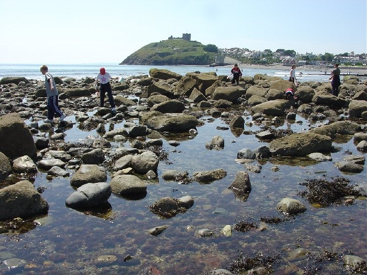 Criccieth 