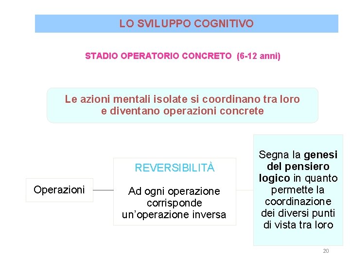 LO SVILUPPO COGNITIVO STADIO OPERATORIO CONCRETO (6 -12 anni) Le azioni mentali isolate si